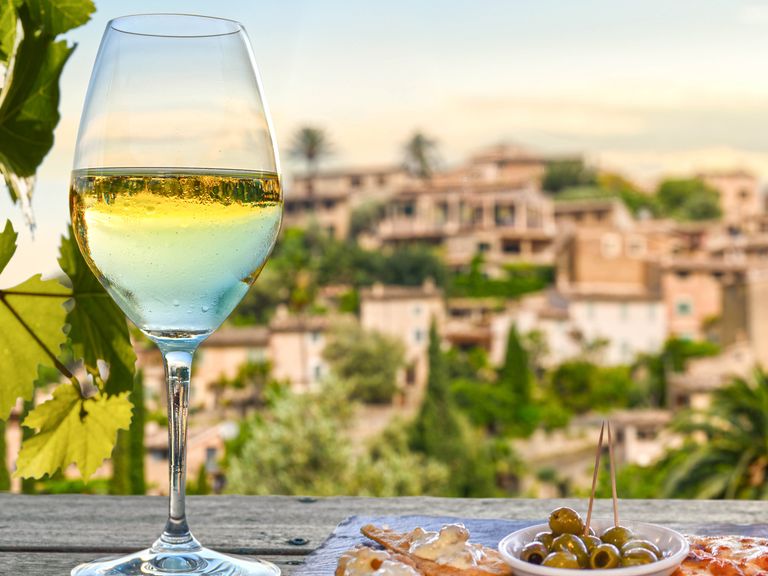 Ein Weinglas mit Blick auf die Landschaft, Genuss und Spezialit&auml;ten in Spanien