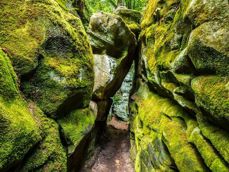 Wandern Eifel