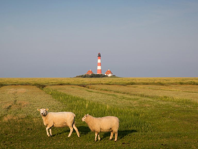 Leuchtturm Westerherver Leuchtturm Westerherver