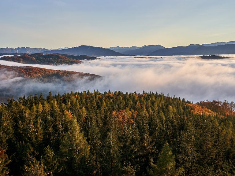 Oberösterreich