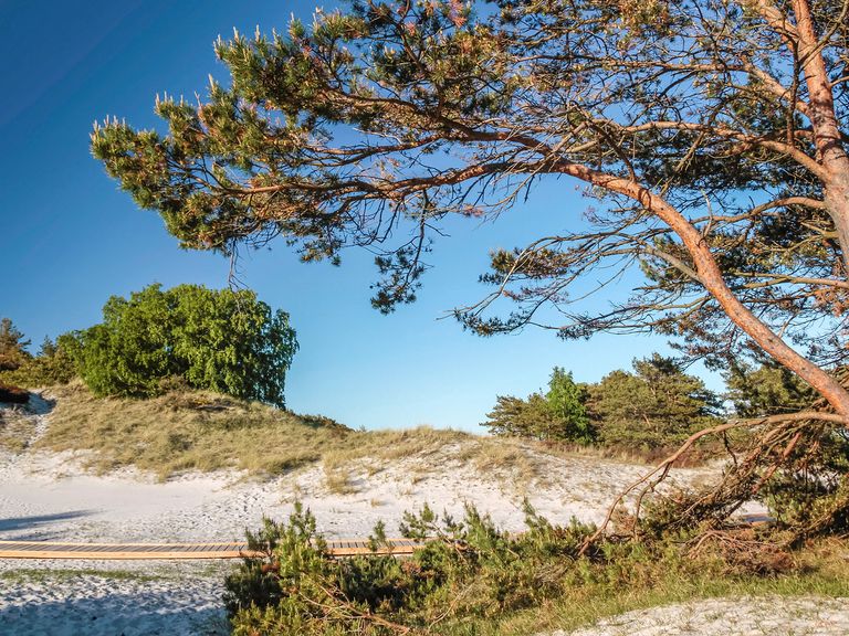 Bornholm steht unter anderem für Ruhe, Idylle und Entspannung – zum Beispiel an der Südostspitze und am Strand Dueodde. Strand bei Dueodde, dänische Ostseeinsel Bornholm