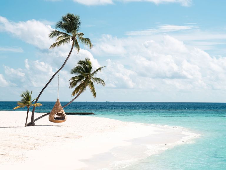 Strand mit Palmen und hängendem Rattanstuhl, Malediven