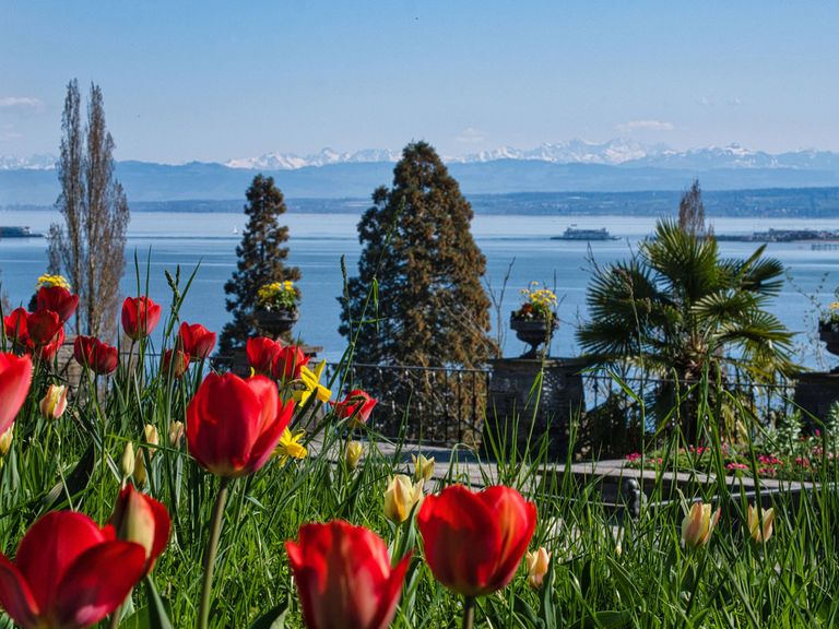 Blick auf den Bodensee von der Blumeninsel Mainau aus.