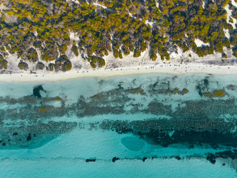 Piniengrün, Creme und Türkis in allen Facetten: die Strände von Formentera Strände auf der Baleareninsel Formentera