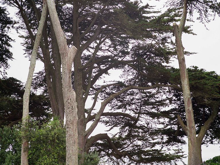 Ile de Batz
