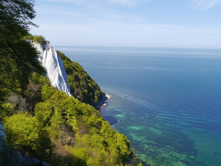 Kreidefelsen Rügen