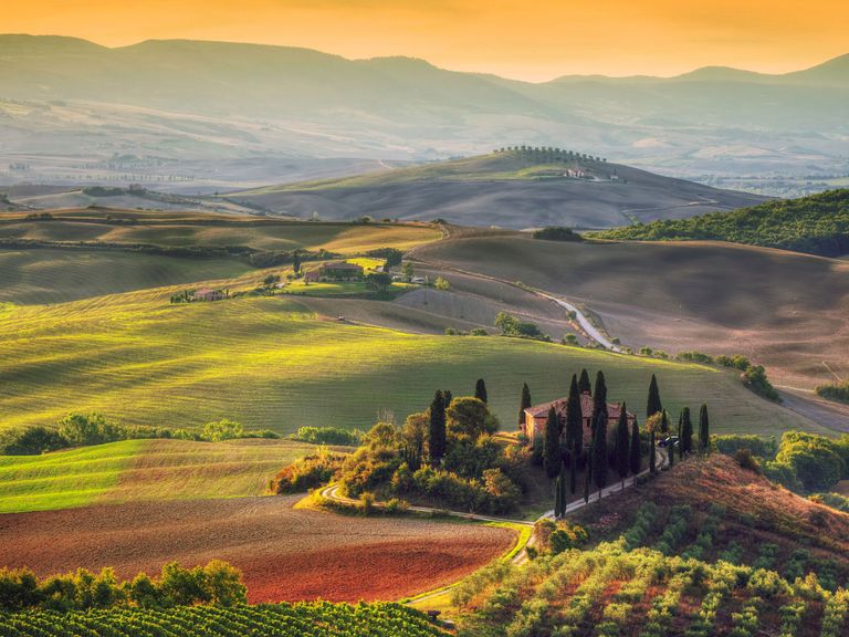 Weinberge des Chianti