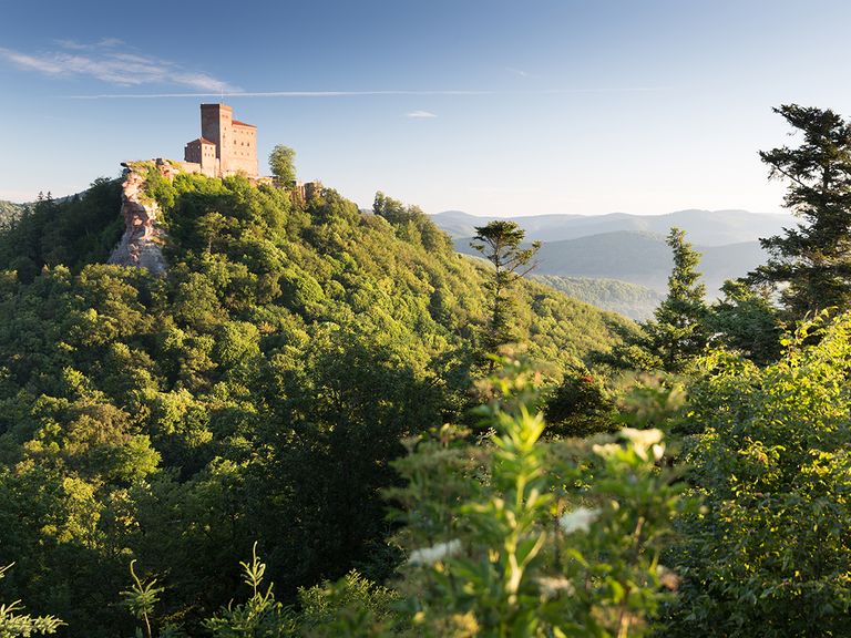 Burg Trifels