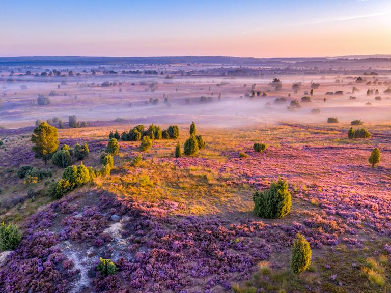 Blick auf die L&uuml;neburger Heide