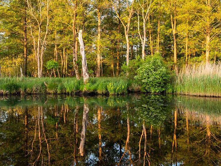 Peene in Mecklenburg-Vorpommern