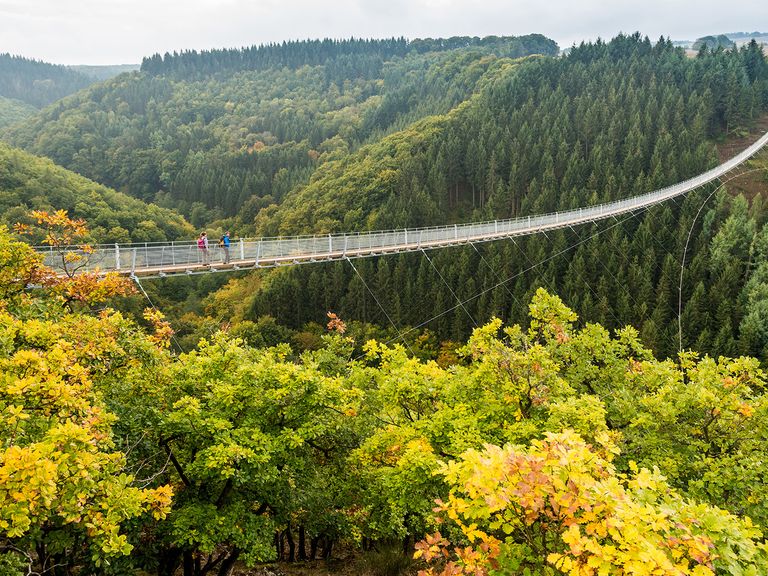 Geierlay Hängeseilbrücke in Mörsdorf