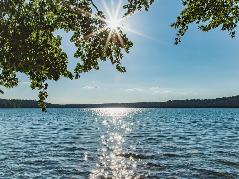 Der Stechlinsee befindet sich in Brandenburg. Stechlinsee