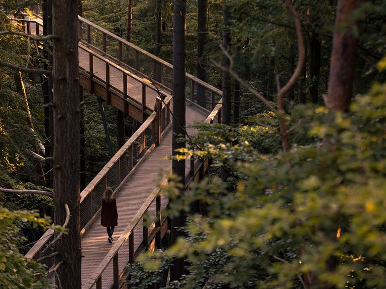 Usedom Baumwipfelpfad Heringsdorf