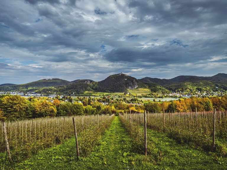 Merian-2019-Bonn-074-Blick auf das Siebengebirge Merian-2019-Bonn-074-Blick auf das Siebengebirge