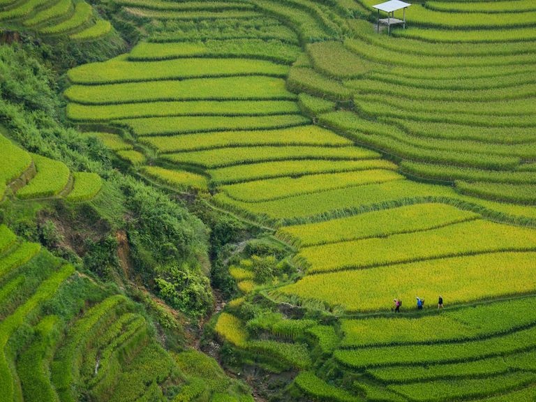 Vietnam