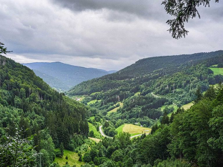 Zweitälerland im Schwarzwald, Blick vom Kandel 