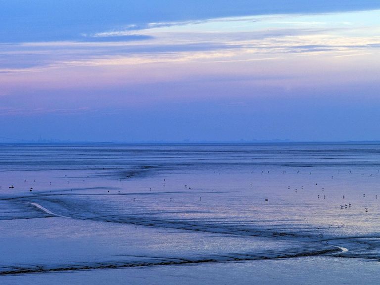Abendstimmung am Dollard Dollard, Emsmündung, Niederlande