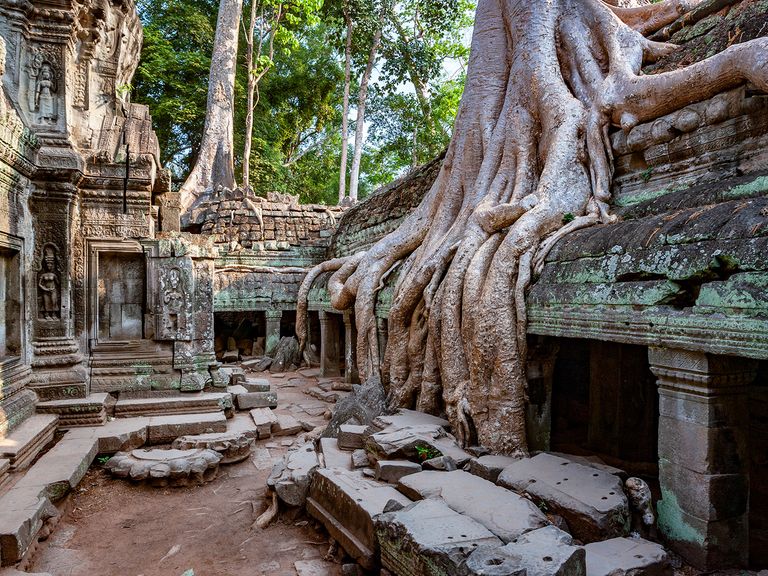 Ta Prohm, Kambodscha