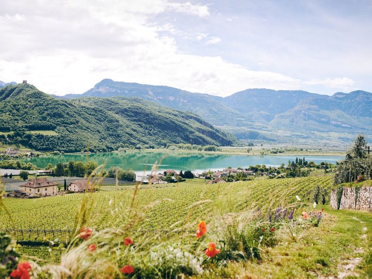 Frühling rund um den Kalterer See: Reben, Obstgärten und die Alpenkulisse prägen den Süden Südtirols. (c) IDM Südtirol-Alto Adige_Manuel Ferrigato