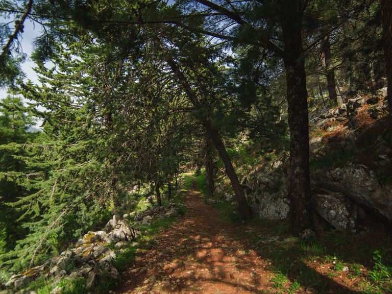 Grazalema