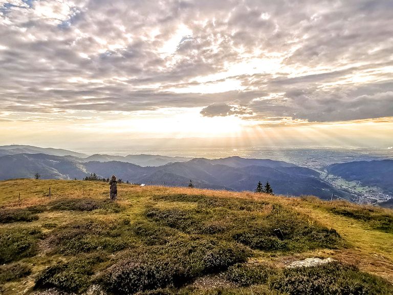 Schwarzwald