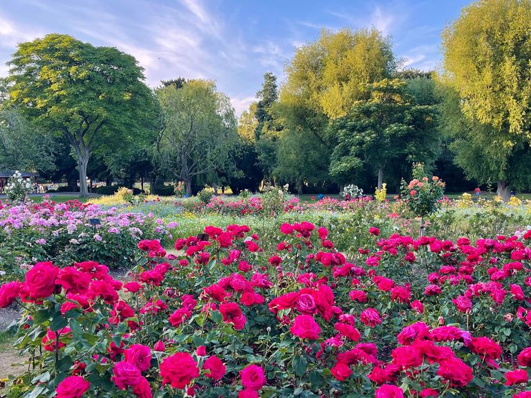 Botanical Gardens in Belfast