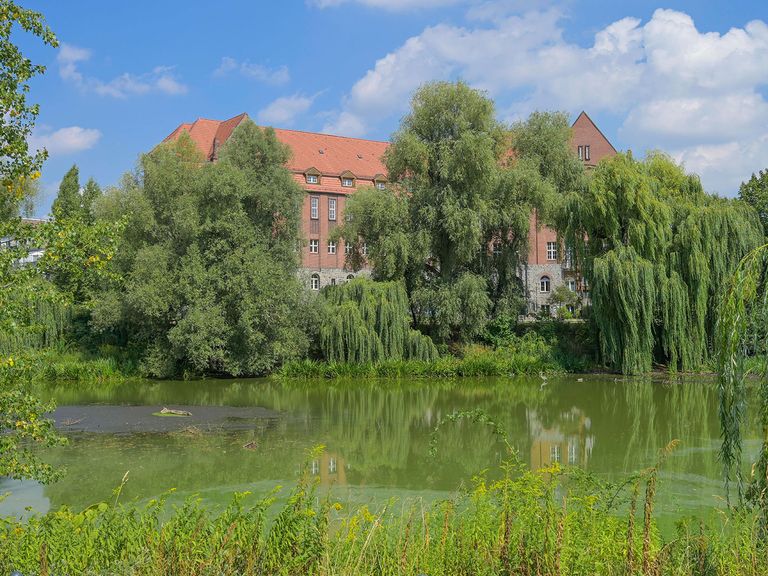 Hier zu sehen: das Primo-Levi-Gymnasium in Berlin-Weißensee. Primo-Levi-Gymnasium in Berlin-Weißensee