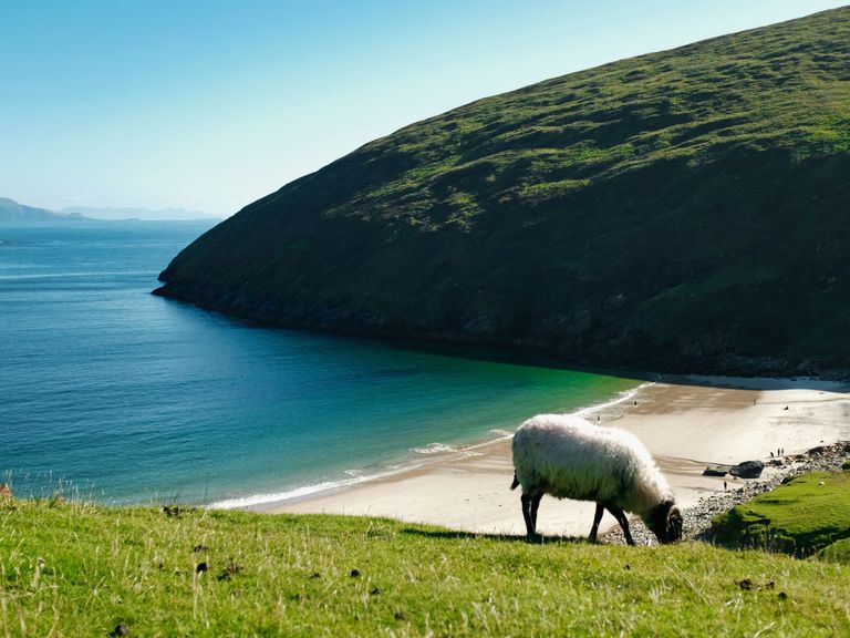 Keem Bay, Strand auf Achill Island