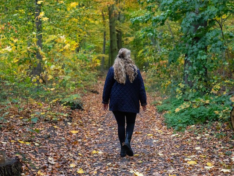 Auf der Suche nach den Kranichen durch Niedersachsen. DB Wald
