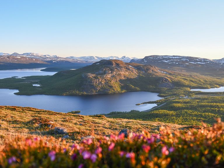 Endlose Sommernächte im Nationalpark Malla Scrict Nature Reserve Mitternachtssonne in Saana, Finnland