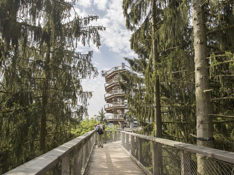 Baumwipfelpfad