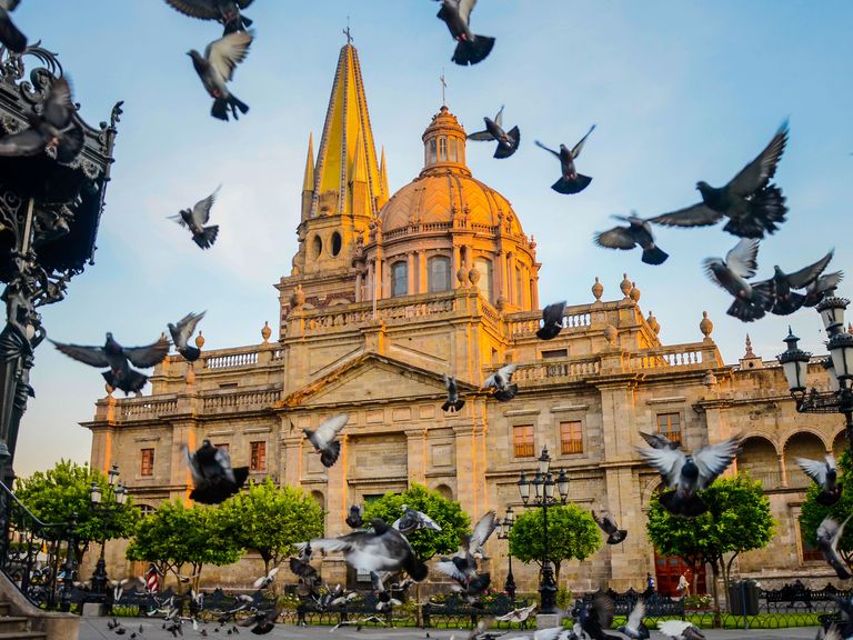 Tauben fliegen vor der Kathedrale von Guadalajara Jalisco