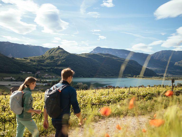 Im Einklang mit der Natur: der Kalterer See in Südtirol Kalterer See, Südtirol