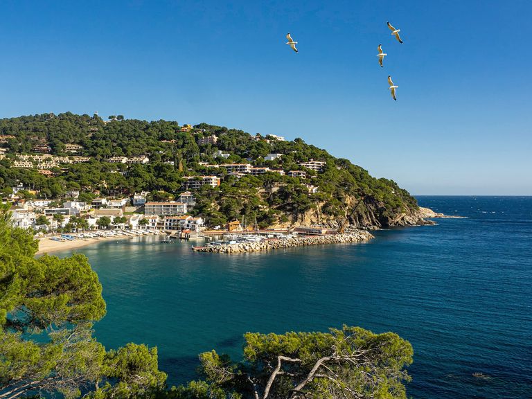 Costa Brava Camping Llafranc