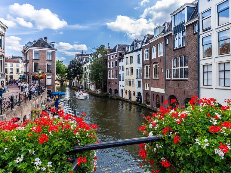 Kanal in Utrecht, Ufer in Blüte