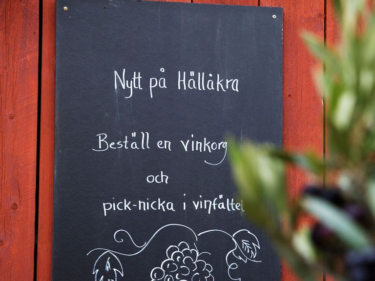 beschriftete Tafel auf dem Hällåkra Vingård in Anderslöv