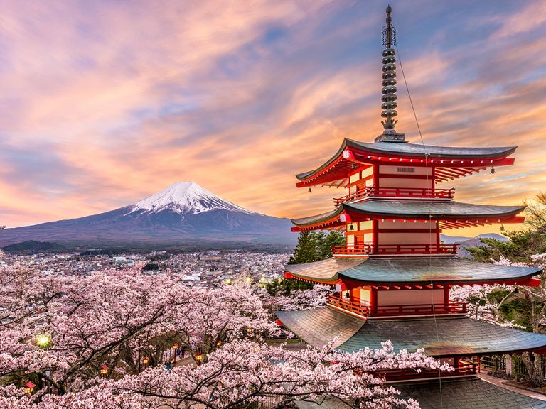 Kirschblüten am Fuß des Mount Fuji Fujiyoshida am Fuße des Mount Fuji