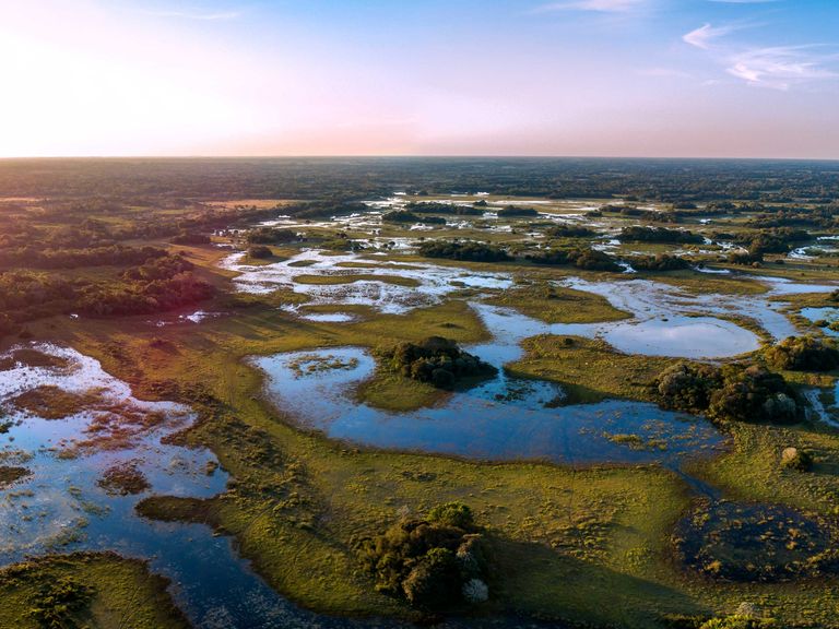 Blick auf das Pantanal in Brasilien Blick auf das Pantanal in Brasilien