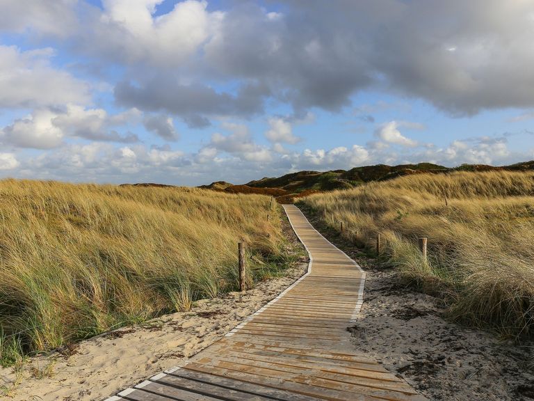 Dünen Langeoog Dünen Langeoog
