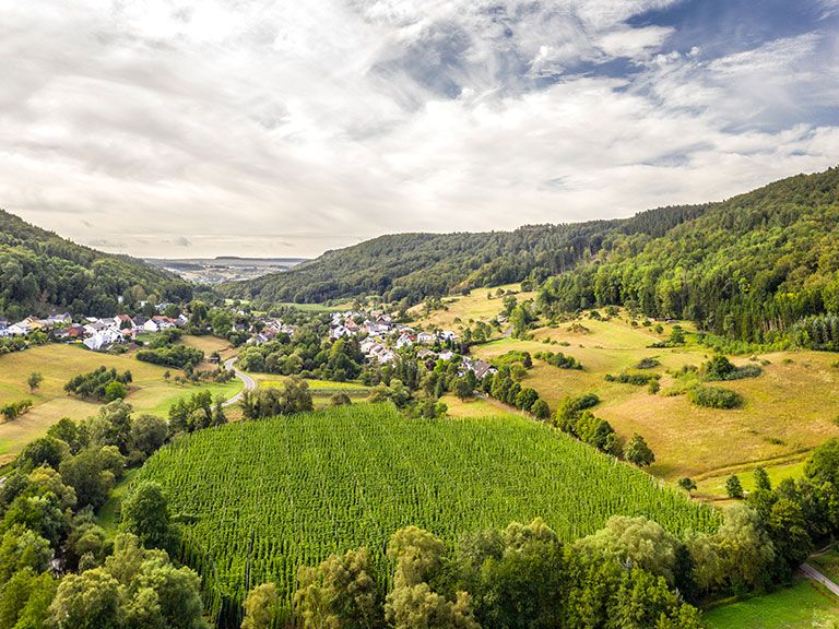 Bitburger Hopfen Anbaugebiet