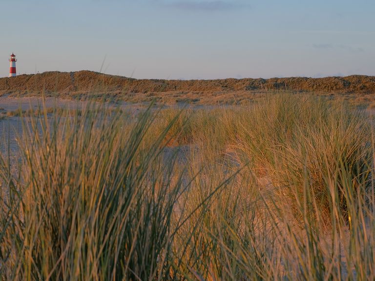 Sylt Sylt