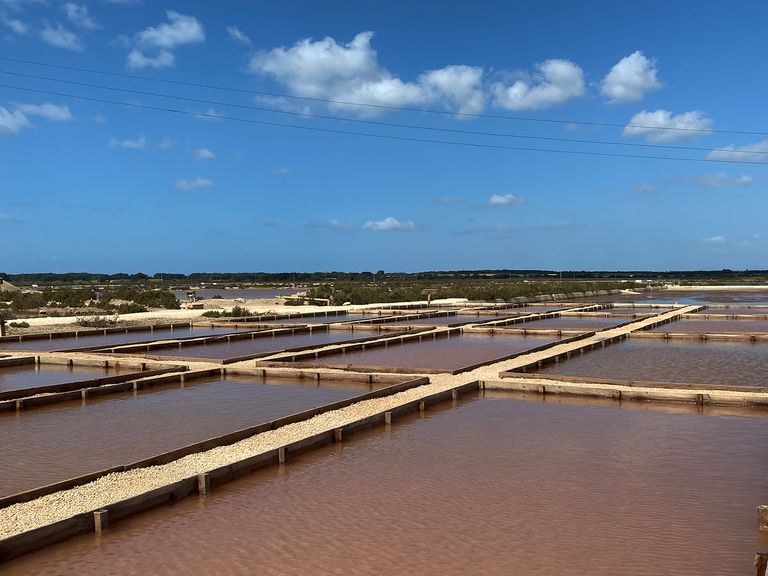 Mallorca, Salinen Es Trenc