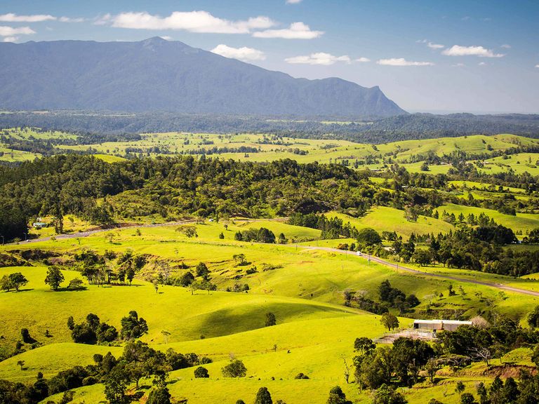Kaffee, Papayas und vieles mehr finden Sie in den Atherton Tablelands im Norden von Queensland. Landschaft in den Atherton Tablelands, Millaa Millaa