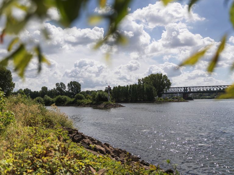 Das Wasser an der Mainspitze