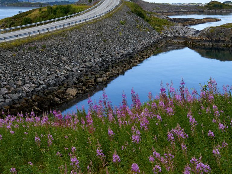 Blick von der Insel Eldhusøya auf die Atlantikstraße