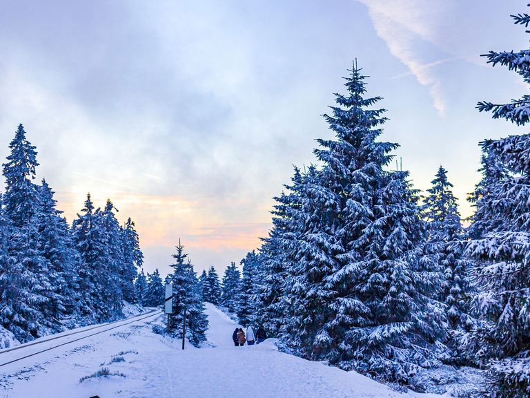 der verschneite Brocken im Harz