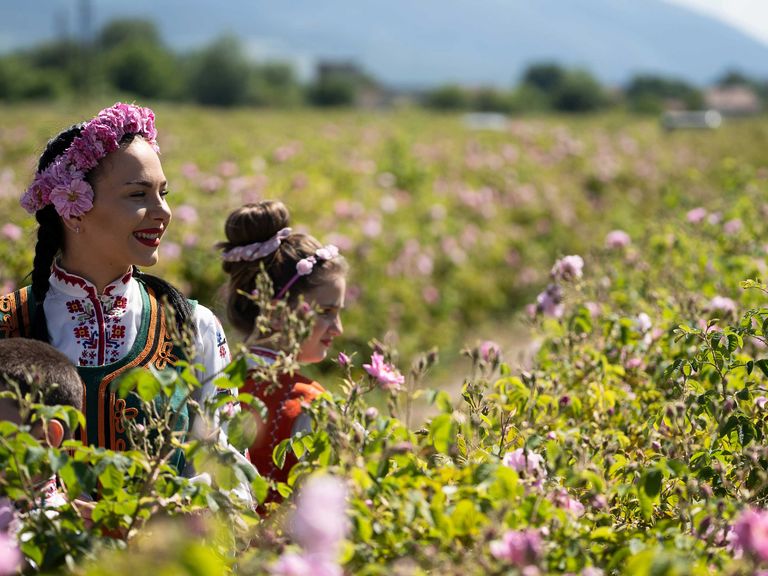 Feld mit Damaszener-Rosen und Frau mit Kindern, Kazanlak