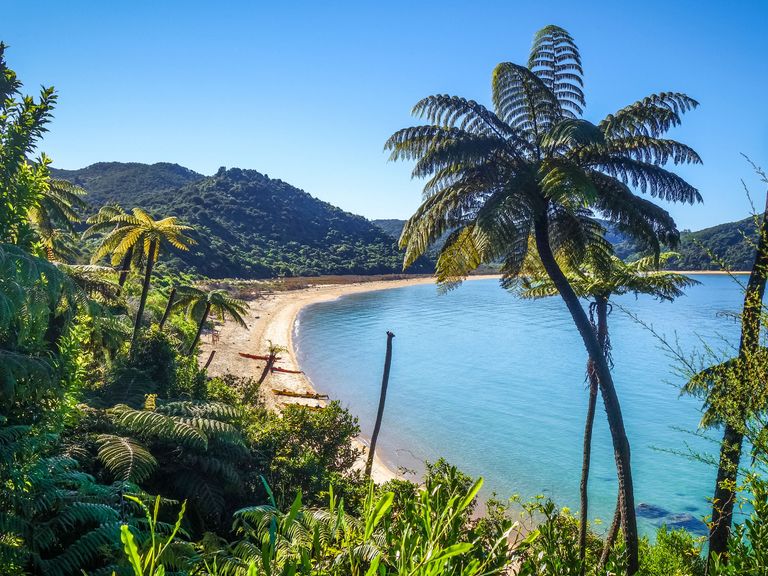 Abel-Tasman-Nationalpark in Neuseeland