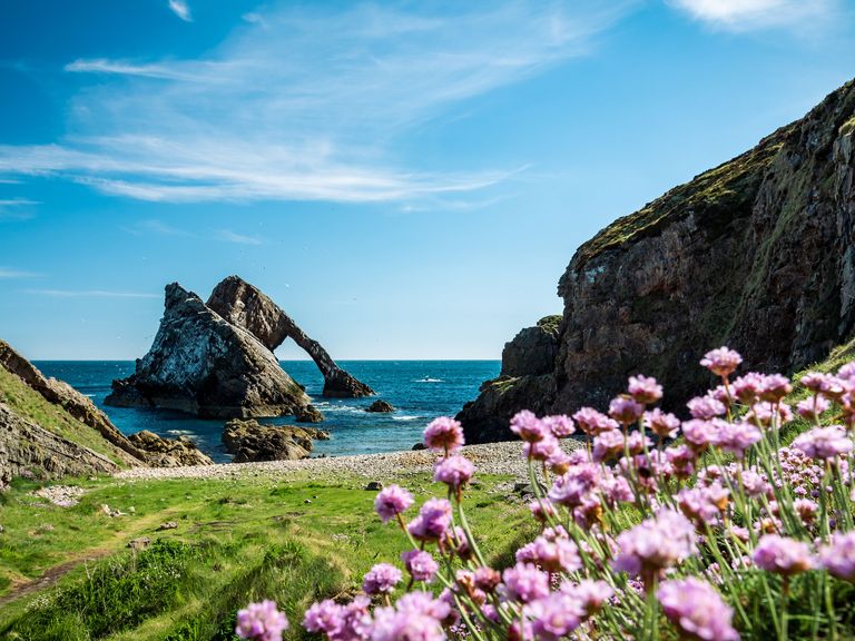 Schottland, Natur in der N&auml;he von Aberdeen