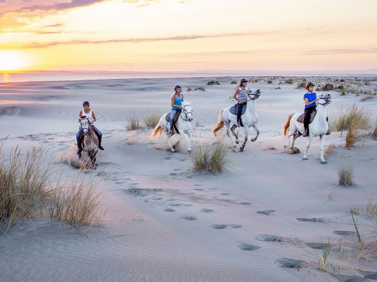 Camargue